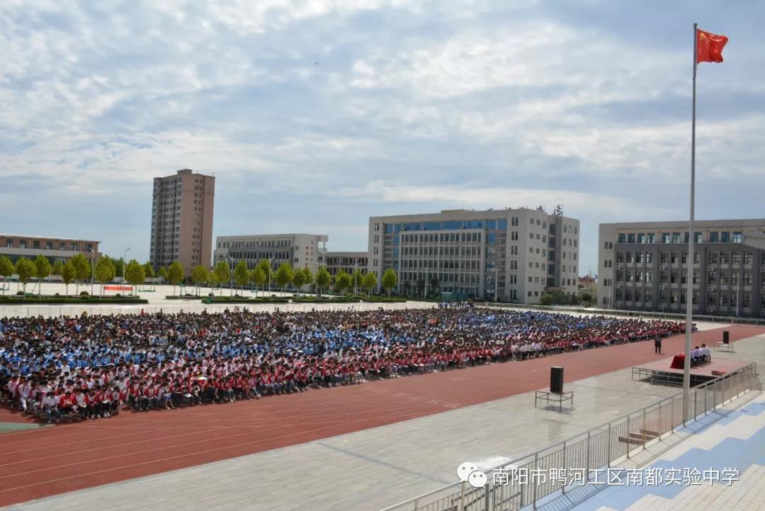 南阳最新一室一厅租房，理想居住空间探索