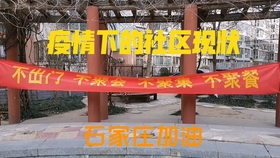 河北石家庄封闭小区防疫升级最新动态，防疫措施强化与居民生活观察