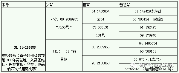 香港二四六308Kcm天下彩,持久性策略设计_soft25.599