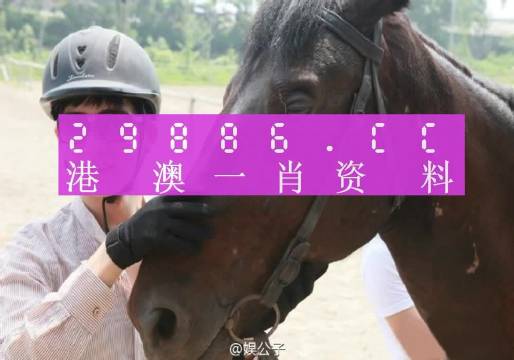 澳门今晚必中一肖一码准确9995,最新答案解释落实_4K76.281