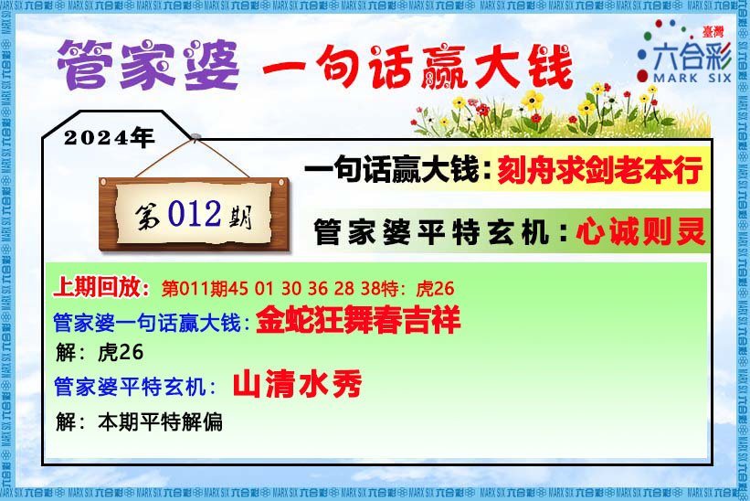 一肖一码100准管家婆,整体规划执行讲解_钻石版74.396