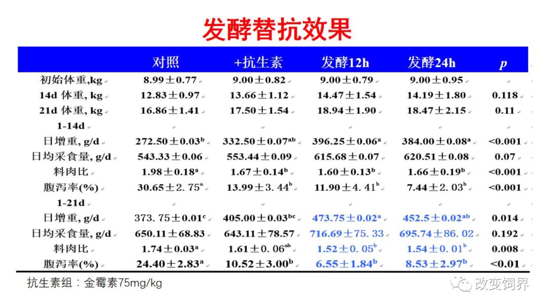 精准一肖100准确精准的含义,高效性实施计划解析_限定版21.356