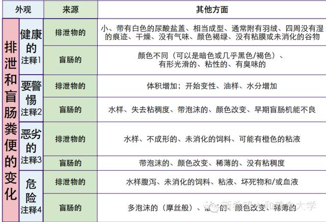 澳门三肖三码精准100%黄大仙,权威解读说明_苹果版45.241