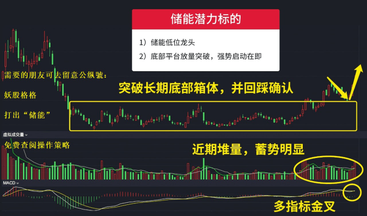 管家婆精准资料大全免费4295,科学分析解释定义_SHD25.811