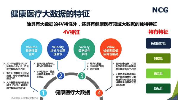 澳门免费材料资料,理论分析解析说明_策略版81.284