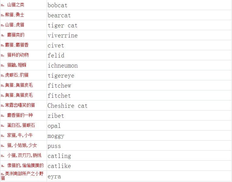 猫咪MV最新永久地域网名大揭秘，探寻神秘网名背后的故事