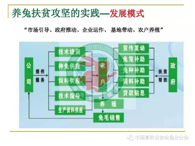 新奥门特免费资料大全管家婆,决策资料解释落实_挑战款54.850