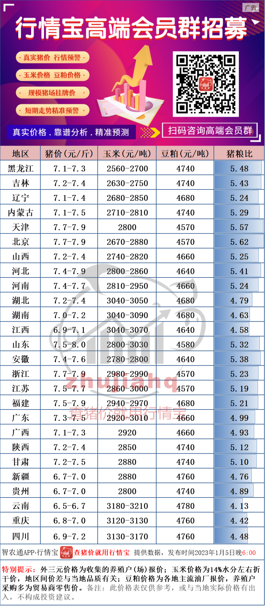 白小姐一码一肖中特1肖,数据驱动实施方案_app35.884