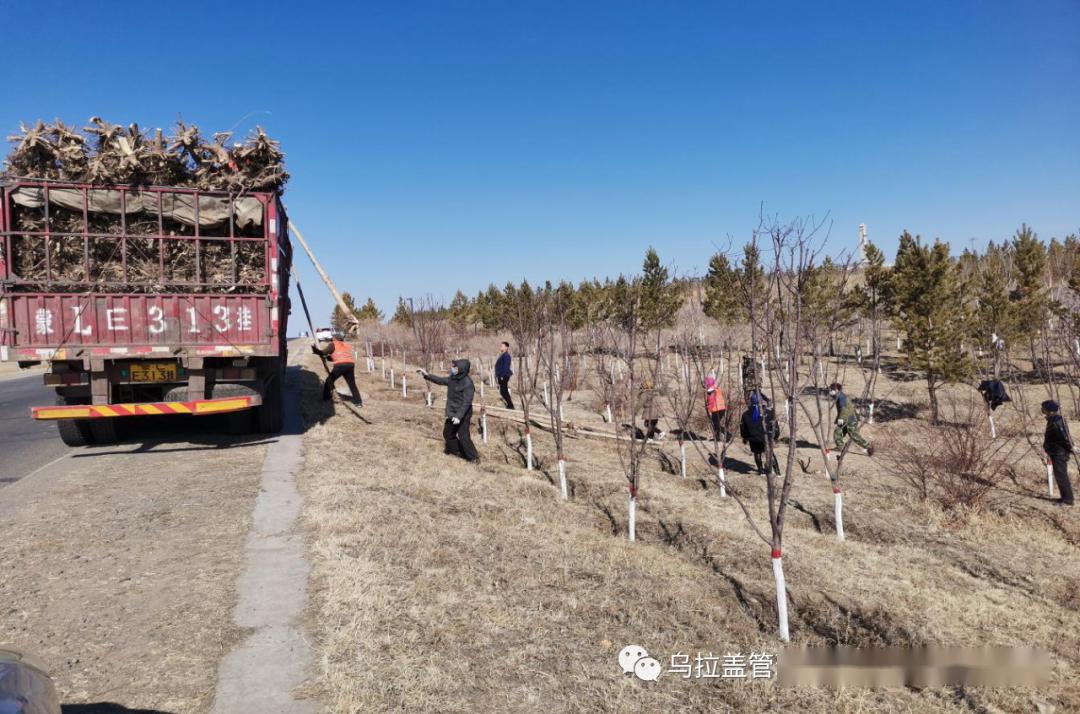 巴盟乌北林场最新发展规划深度研究