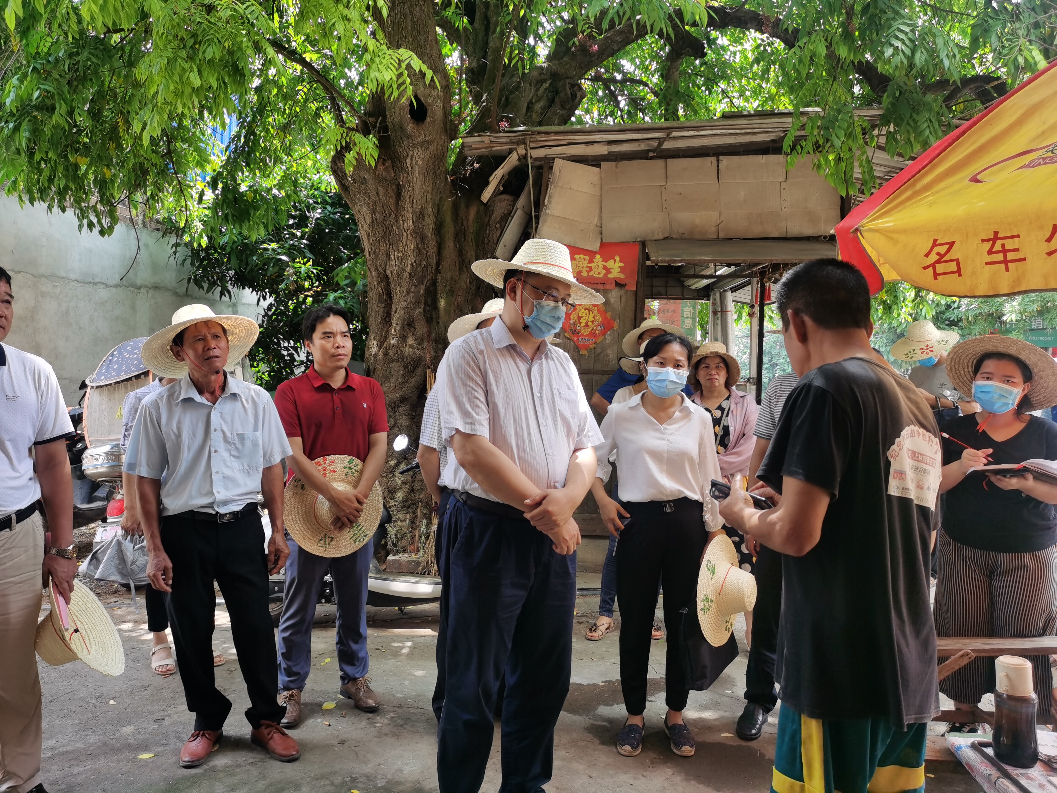 苏圩镇，发展动态与社会变革的交汇点——最新新闻报道