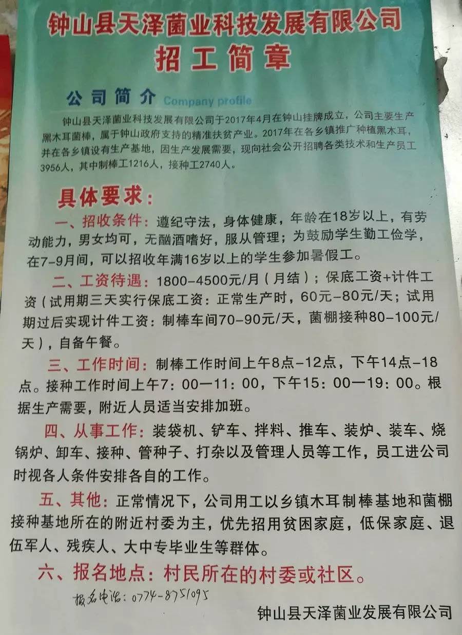 棋田村最新招聘信息全面解析