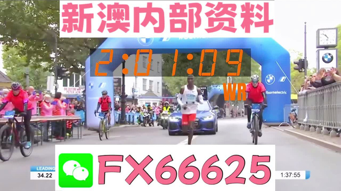 2024新澳精准资料大全,互动策略解析_VR98.260