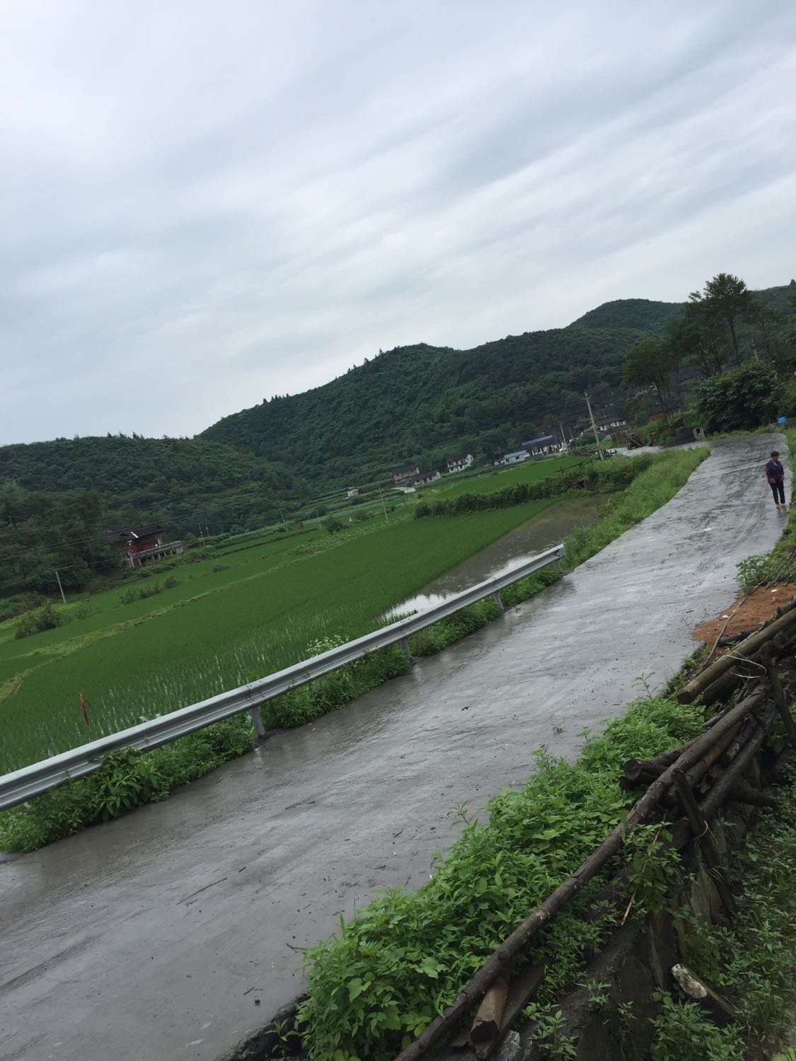 永和村委会天气预报更新通知