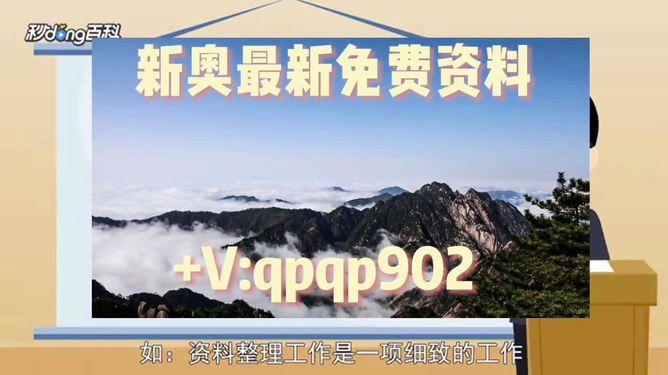 2024新奥正版资料大全免费提供,最新解答解析说明_U66.124