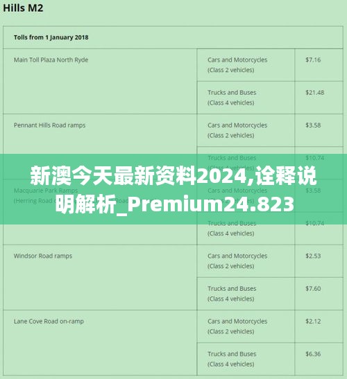 新澳2024资料免费大全版26333,经典解读说明_ChromeOS55.141