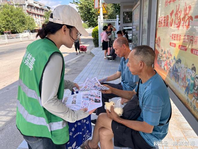 寨沙镇最新招聘信息及其区域发展影响分析