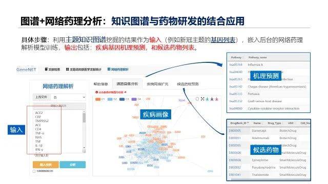 新澳精准资料,数据导向实施步骤_T16.446