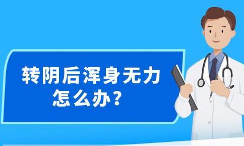 2024年12月9日 第19页