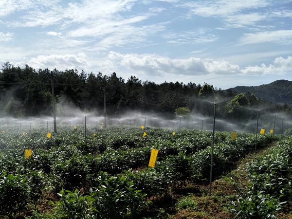 凤冈县水利局新项目助力地方水资源可持续发展