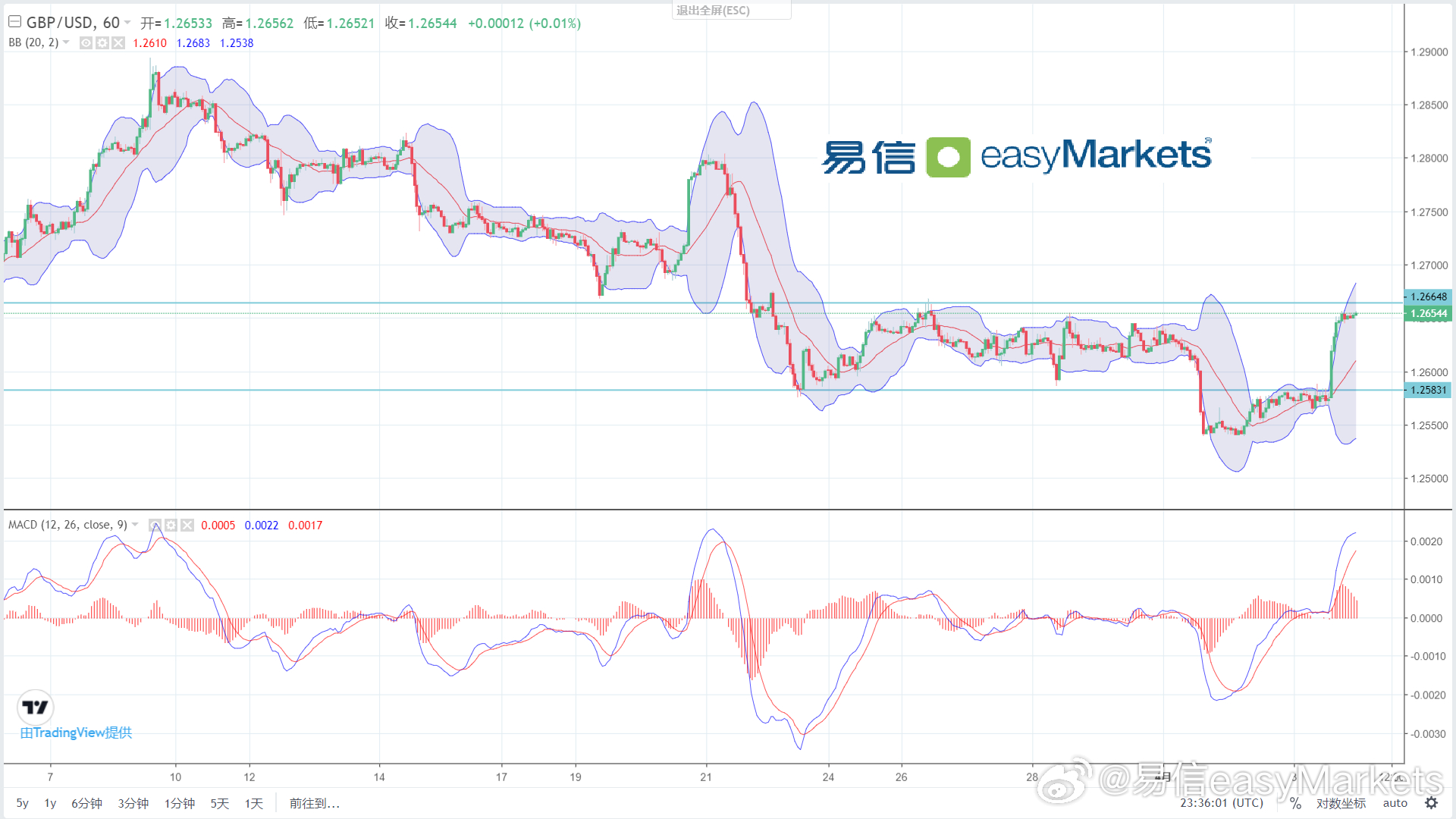 2024年新澳开奖记录,快速响应策略解析_苹果款50.240