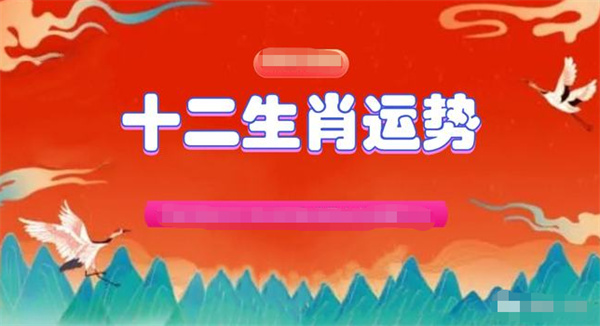 2024年一肖一码一中一特,准确资料解释落实_超级版10.349