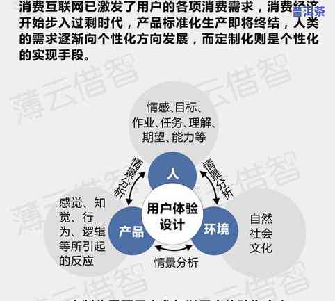 2024年12月13日 第40页