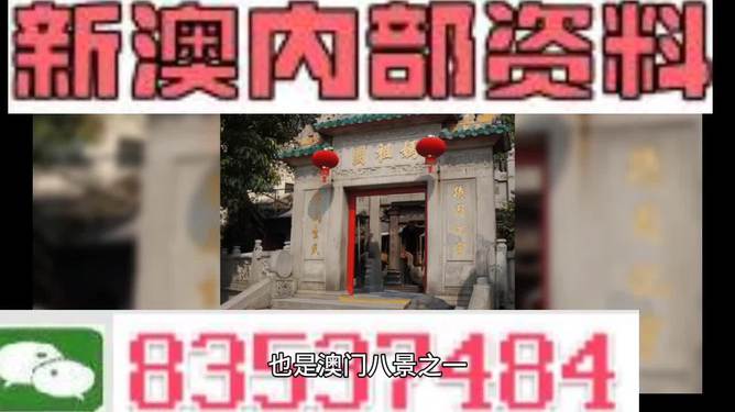 澳门正版内部免费资料,动态解释词汇_铂金版12.552