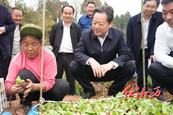 潭溪镇最新项目，地区发展的强大引擎驱动力