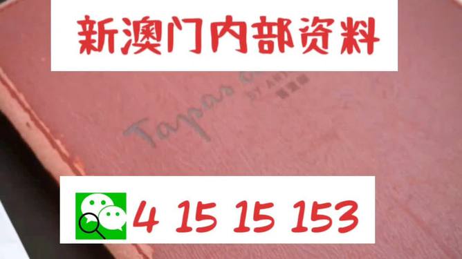 澳门内部最准资料澳门,专家意见解析_定制版67.146