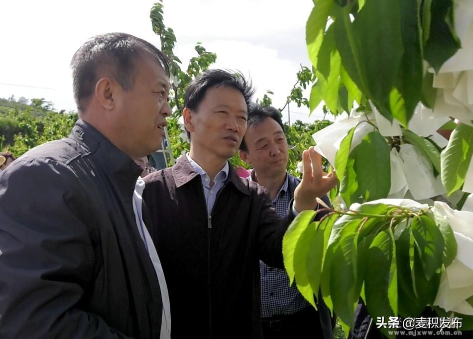 甘泉县住房和城乡建设局最新发展规划概览