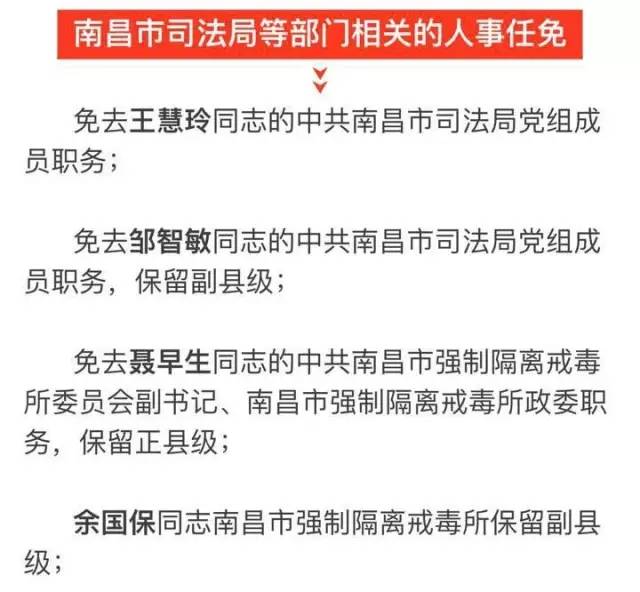 南海区科技局最新人事任命动态及未来展望