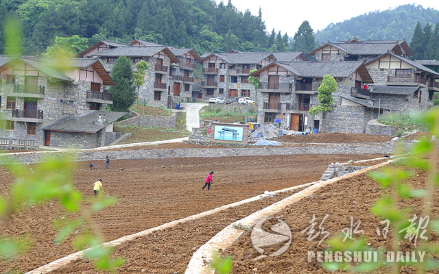 万足镇新项目，地区发展的强大引擎引领力量