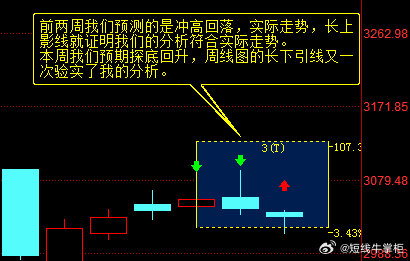 一码中中特,精细策略定义探讨_MP84.80.71