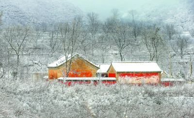 洼雪村最新交通新闻，迈向现代化的交通网络构建