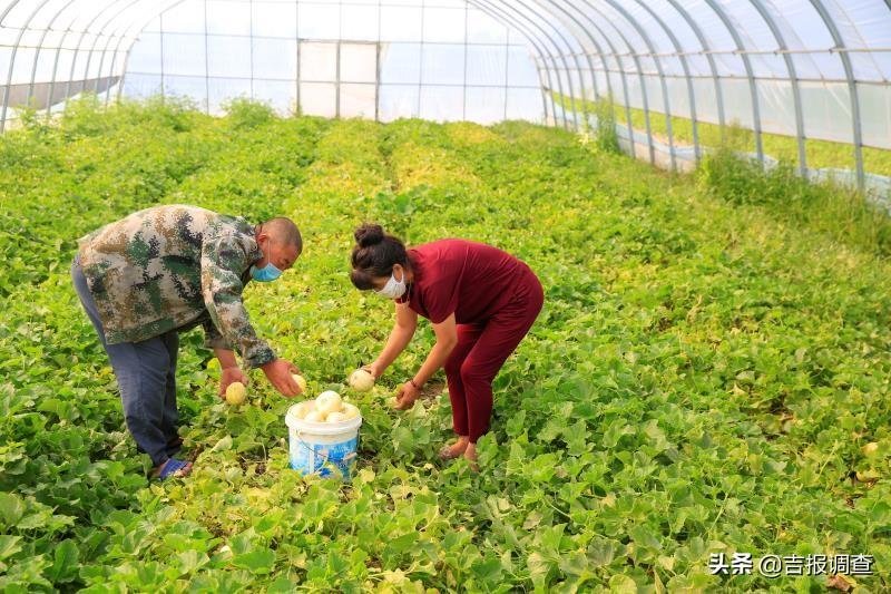 呼和车力蒙古族乡最新新闻概览