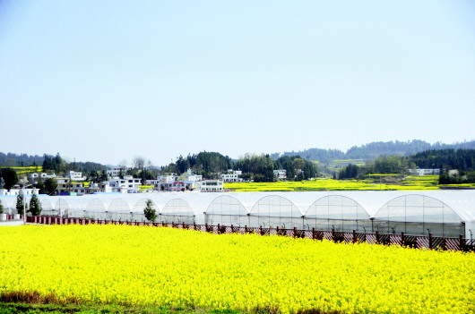 石牛乡全新发展规划揭秘