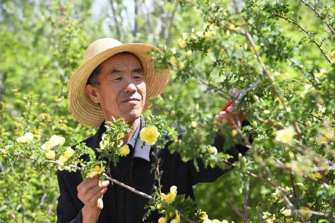 移山林场新任领导引领变革与发展