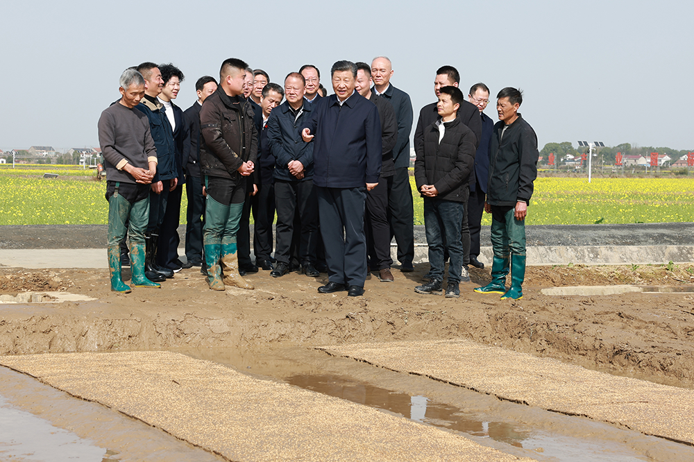 谢家铺镇交通升级助力地方经济发展最新报道