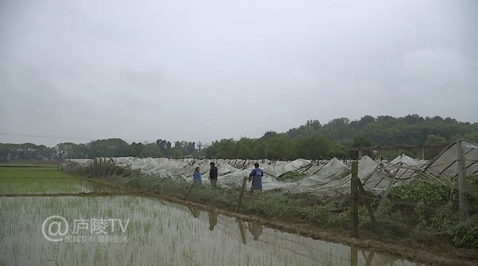 小安乡最新天气预报通知