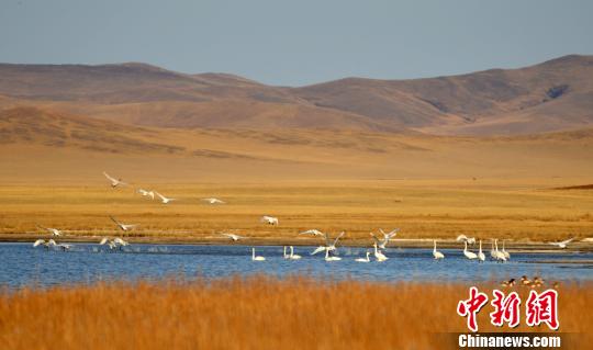 贺斯格乌拉农牧场天气预报更新通知