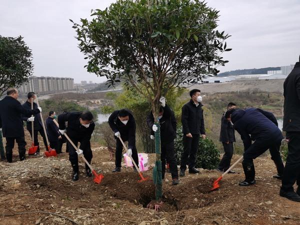 小碧乡最新新闻动态报道