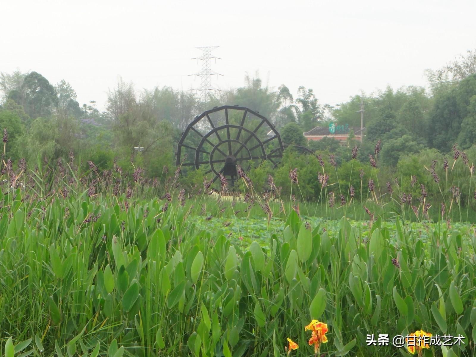 百胜村重塑乡村面貌，推动可持续发展新规划