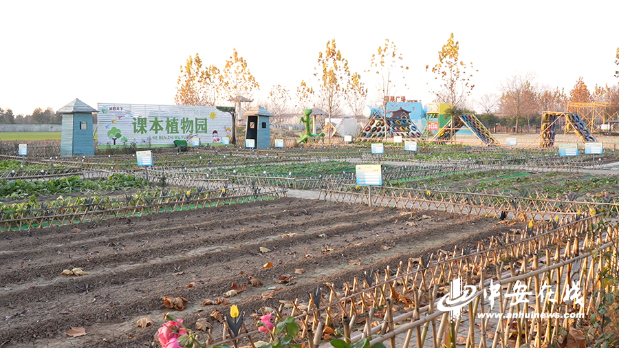 江川农场交通升级与发展最新动态