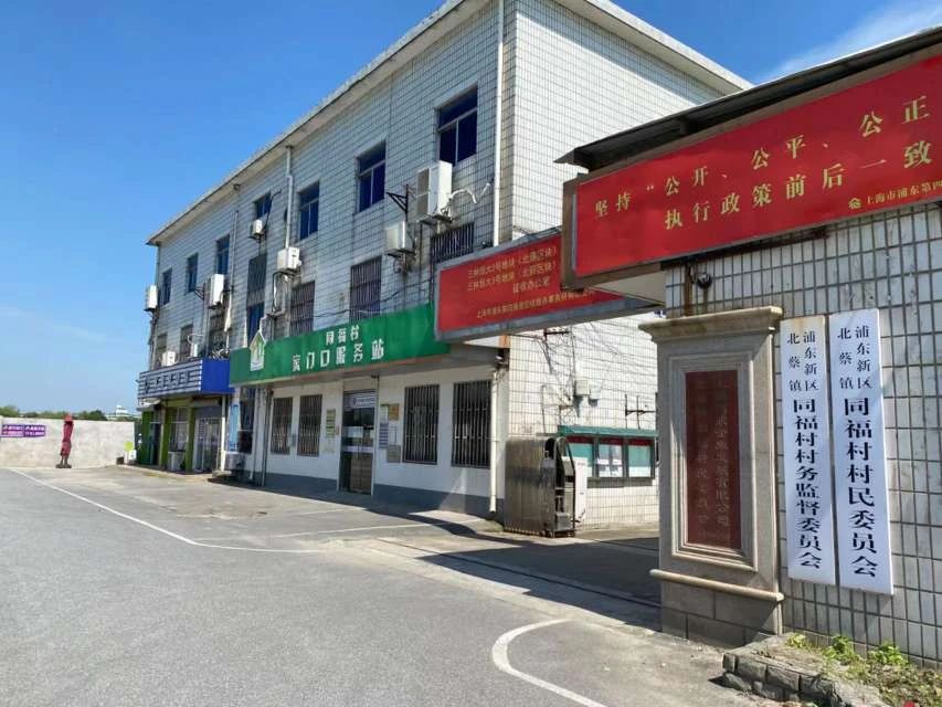 四墩村民委员会新项目启动，乡村振兴，共创美好未来