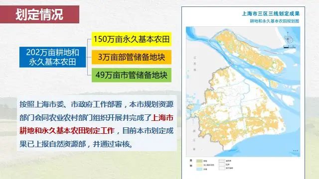 静安区农业农村局打造现代化农业与乡村融合典范的新规划