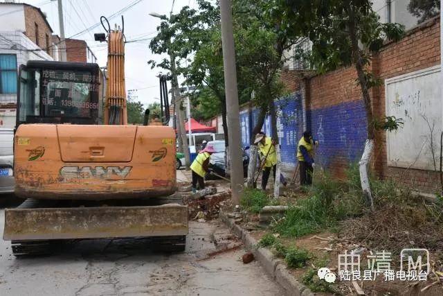 陆良县卫生健康局发展规划揭秘，构建健康陆良的宏伟蓝图