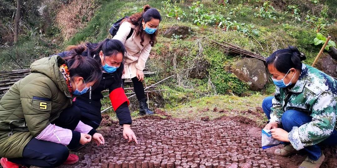 八步区防疫检疫站未来发展规划揭晓