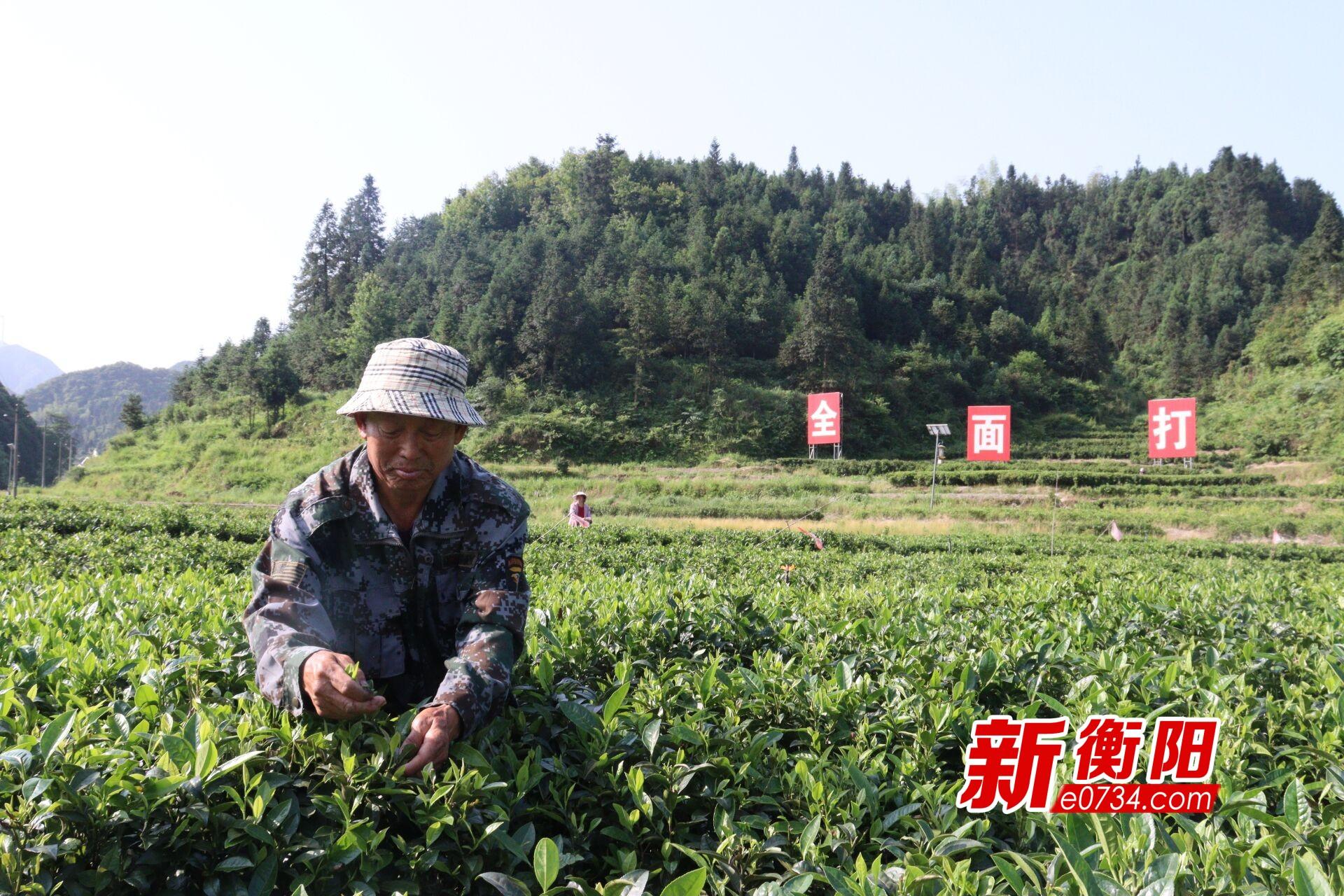 塔山瑶族乡领导团队引领新征程发展之路