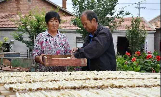 牛家营子镇新项目，引领地区发展的强大动力源泉