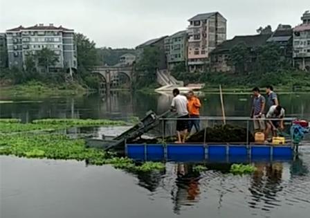 沅河镇最新动态报道